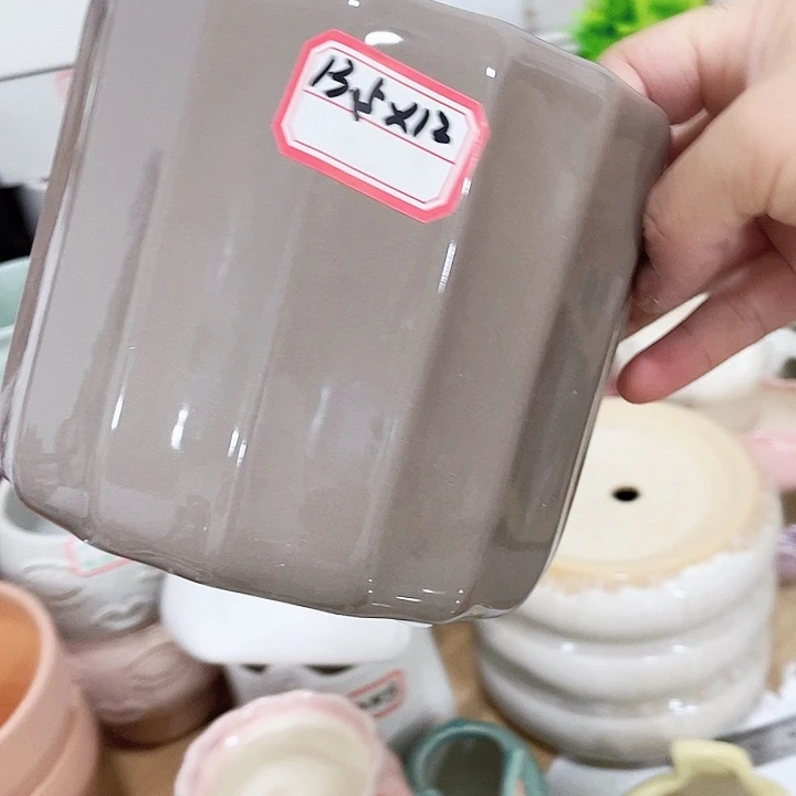 花盆花盆花盆花盆花盆花盆花盆