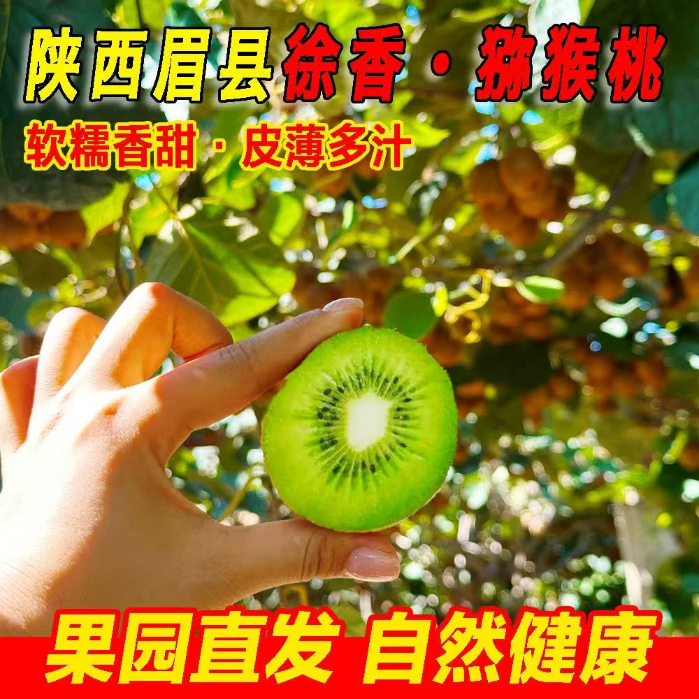 陕西徐香绿心猕猴桃新鲜应季水果香甜多汁现摘现发