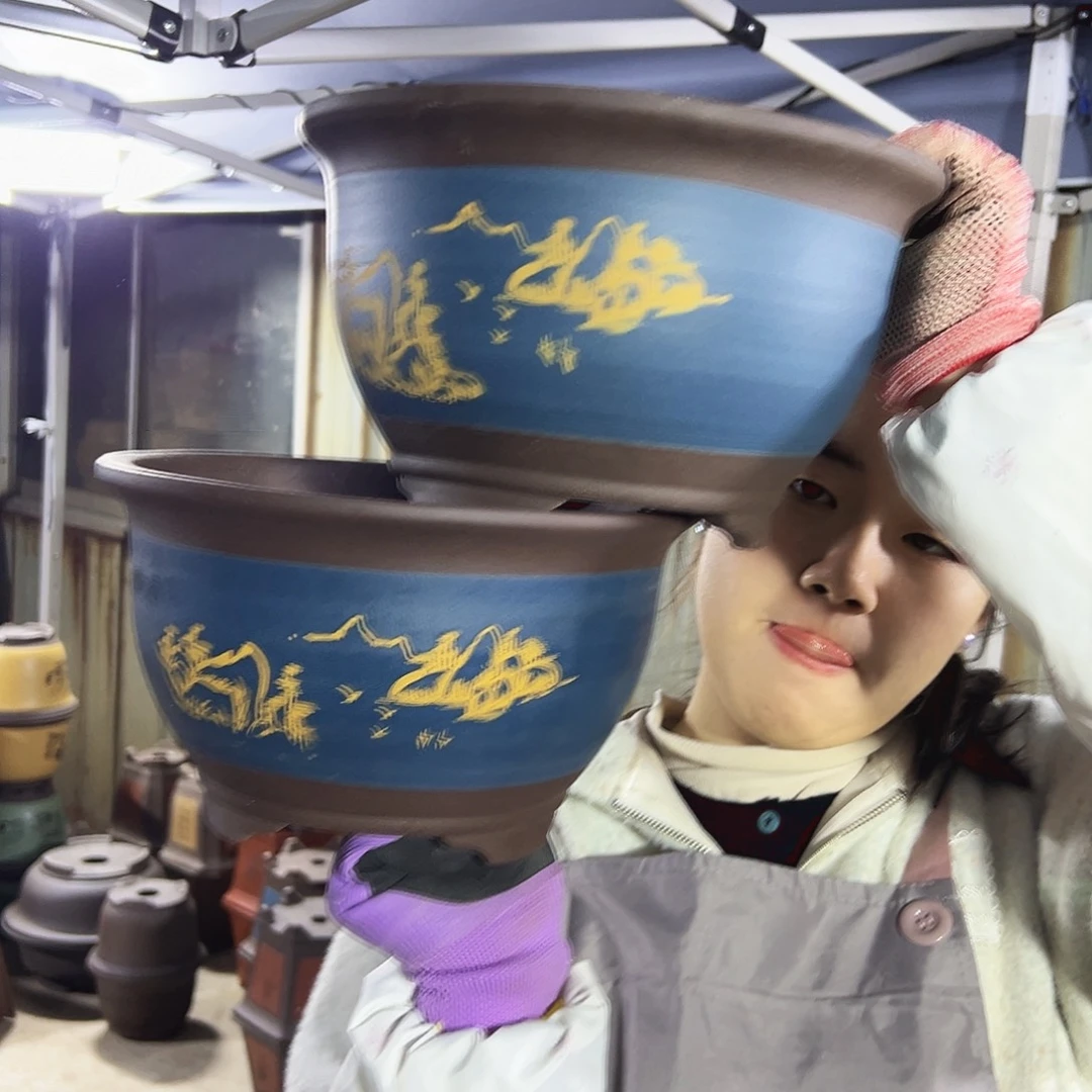 21+21蓝色三角金钟花盆
