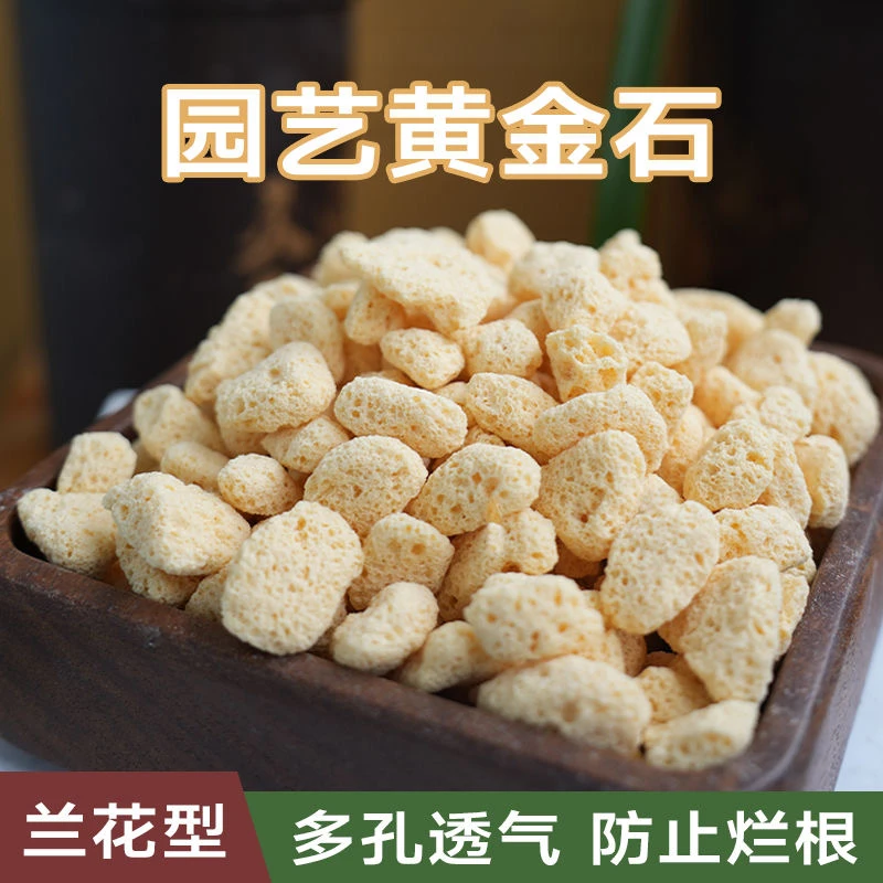 园艺黄金石，兰科植料