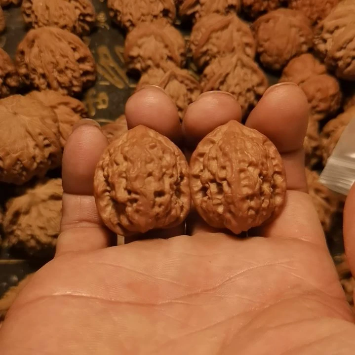 十****吊坠文玩核桃小白蛇