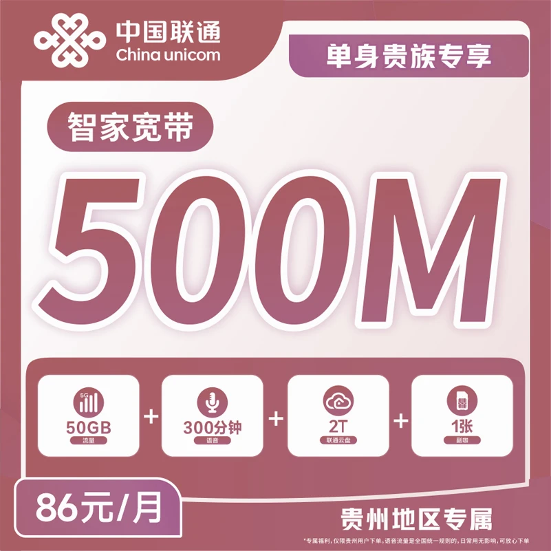 【贵阳联通观山湖营业厅】86米智家融合宽带套餐/500M宽带/1主1副