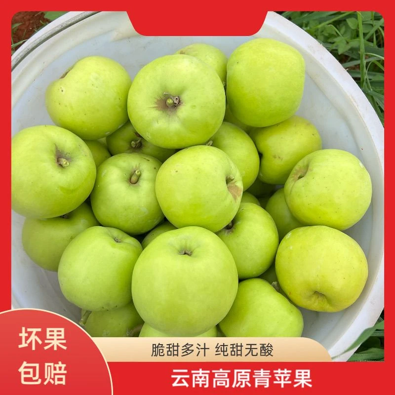 正宗云南昭通青香蕉苹果脆甜多汁无酸新鲜现摘15/30枚