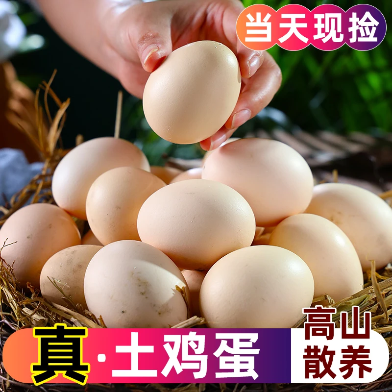 【50枚土鸡蛋】 农家散养土鸡蛋45g~50g新鲜营养鲜蛋现捡30枚包邮