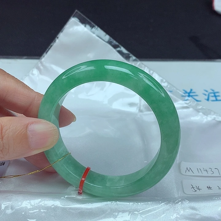 未镶嵌手镯翡翠54圈4376