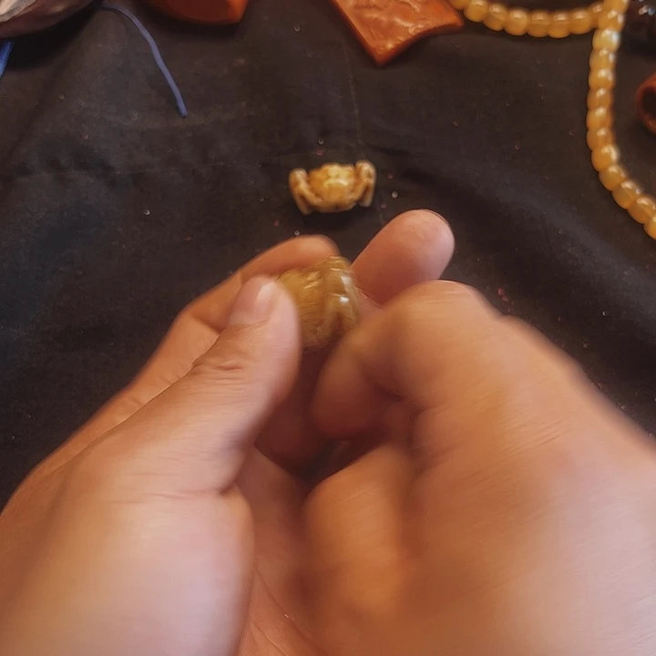 大果紫檀（缅甸花梨）