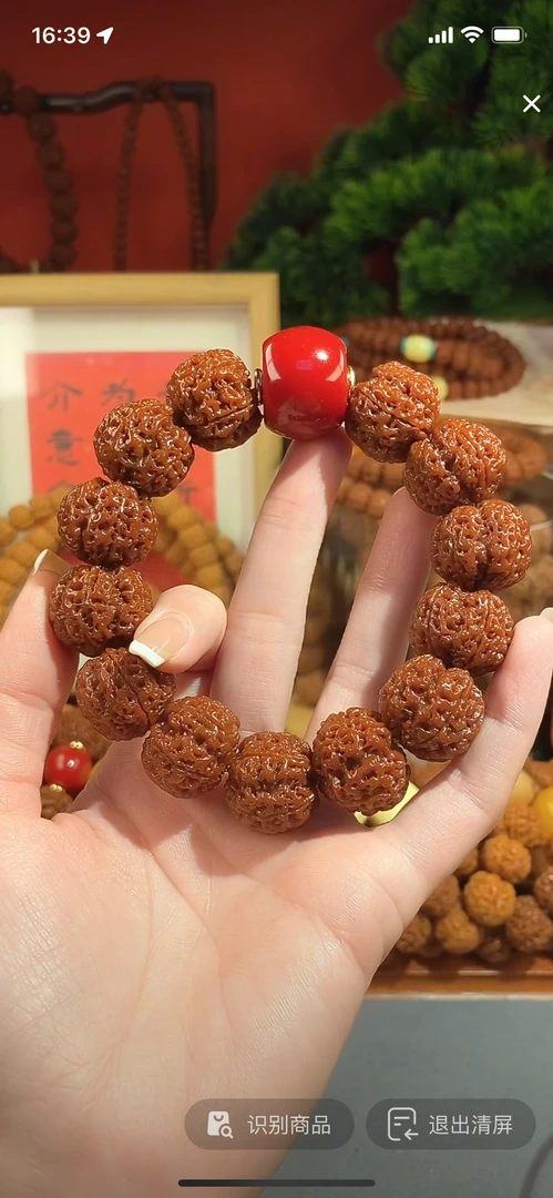 五瓣满肉大梅花蜂王金刚菩提