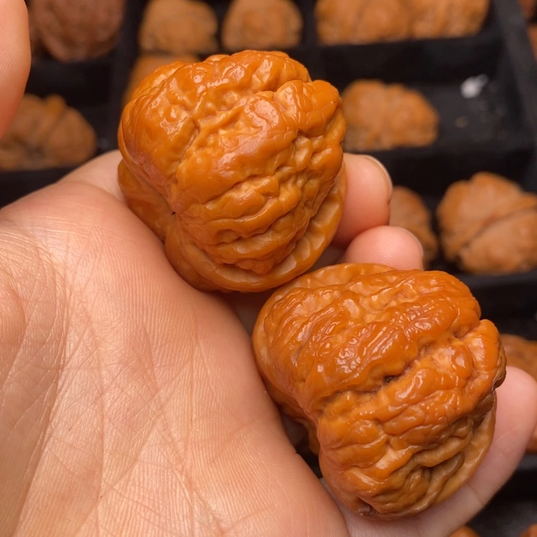 文玩核桃把件秦岭野生核桃