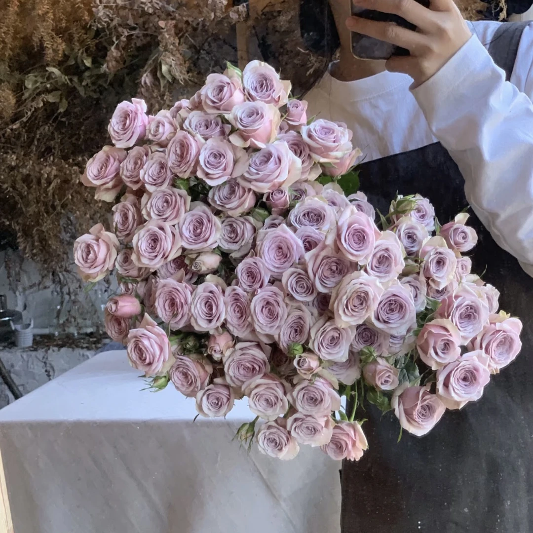 【今喜花舍】（多头）莱拉  一单顺丰冷链包邮