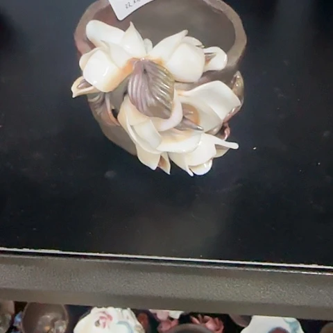 ?*利柴烧柴烧柴烧柴烧柴烧