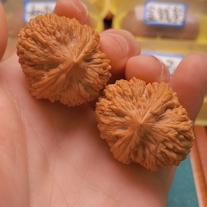 文玩核桃把件边34肚37全品大蒜头