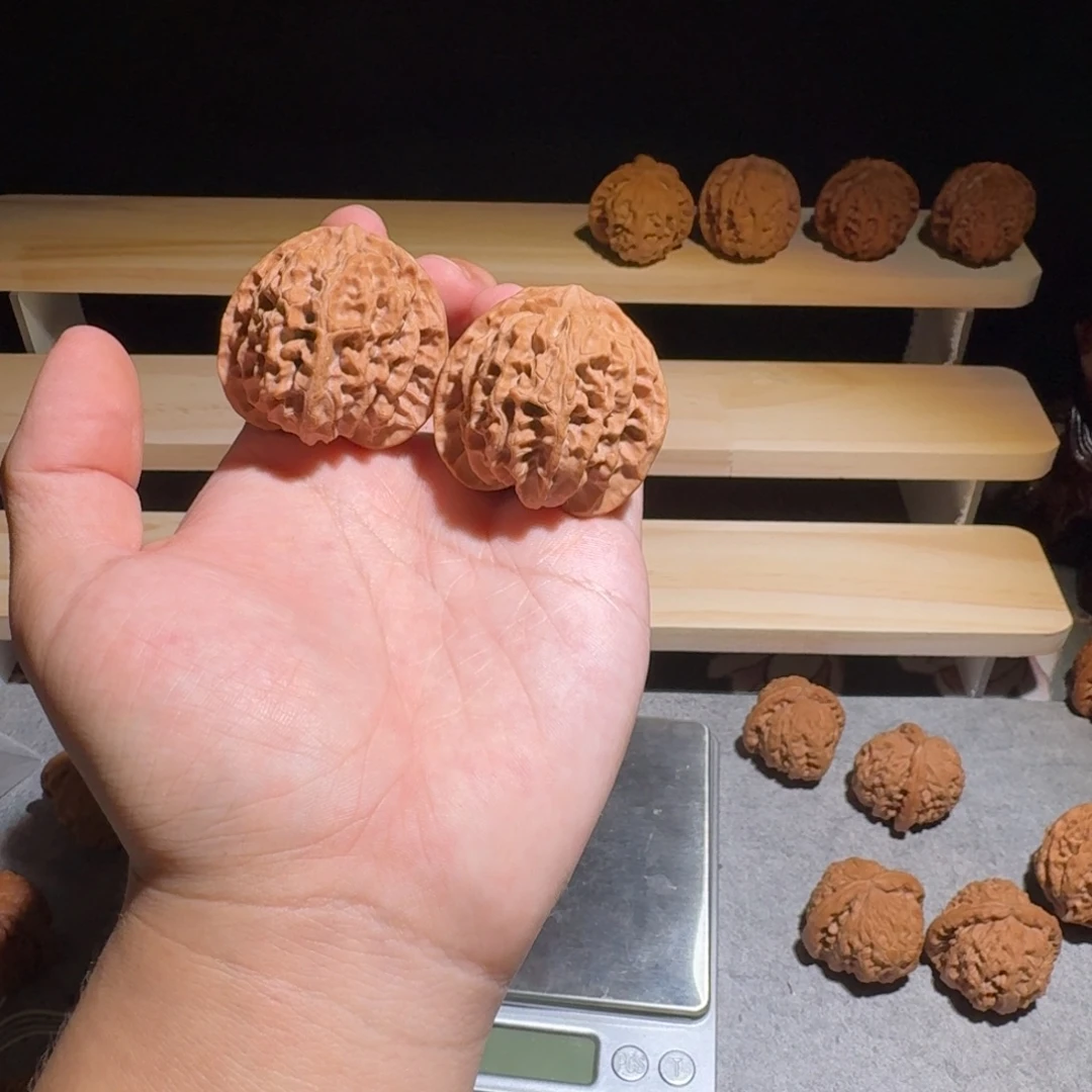 大叶紫檀（黑酸枝木类）