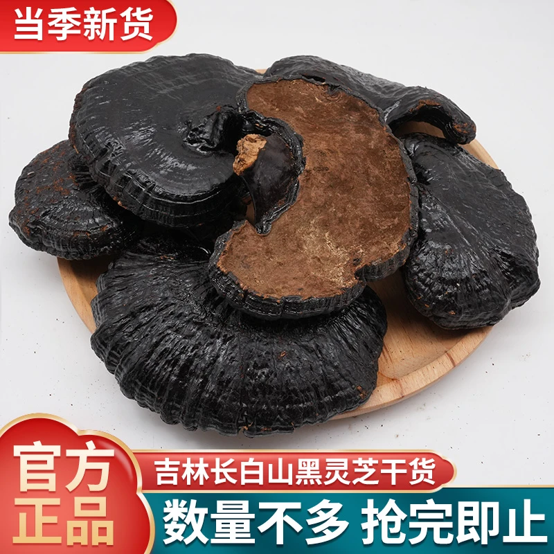 正宗长白山黑灵芝官方正品整枝灵芝干货泡酒煲汤黑灵芝批发