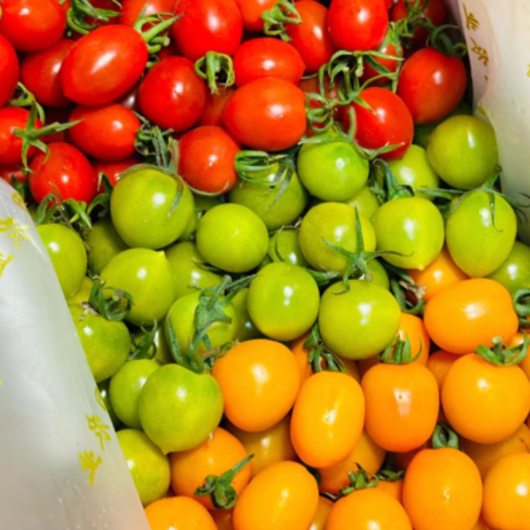 三色小千禧一箱