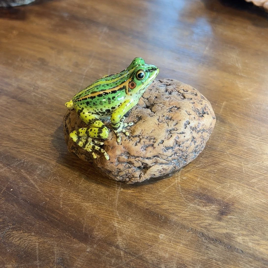 石头青蛙刘镇光作品