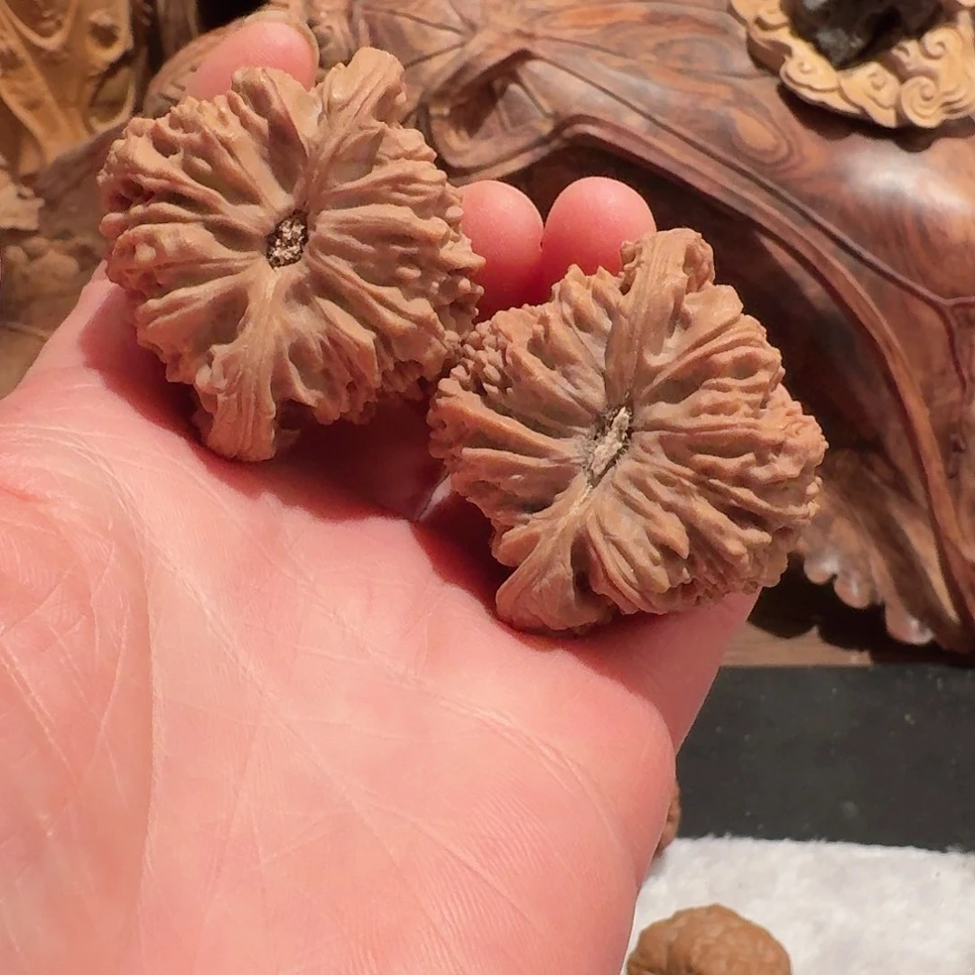 云***@全品南疆石狮子头43