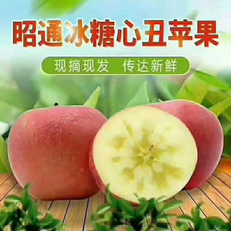 云南昭通红富士丑苹果新鲜多汁脆甜当季水果批发礼盒装彩箱装