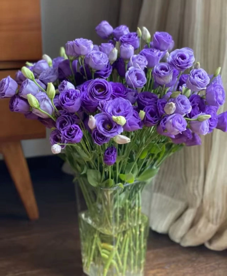【紫色洋桔梗】云南优选鲜切花昆明基地直发家用插花节日