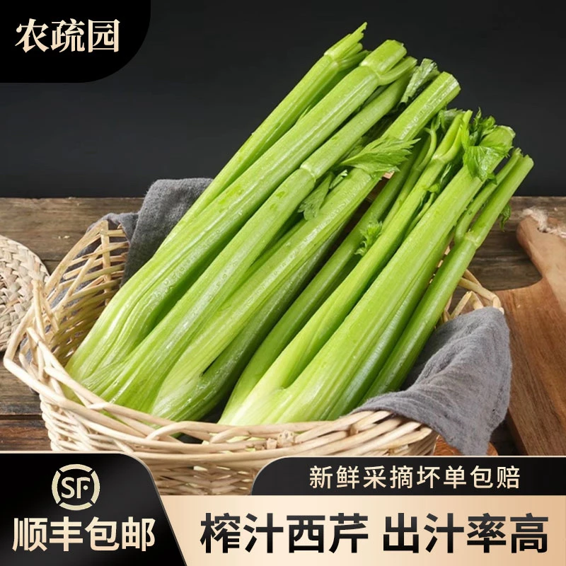 【顺丰京东包邮】生吃榨汁西芹现挖现发脆嫩多汁3/5斤榨汁水果西芹