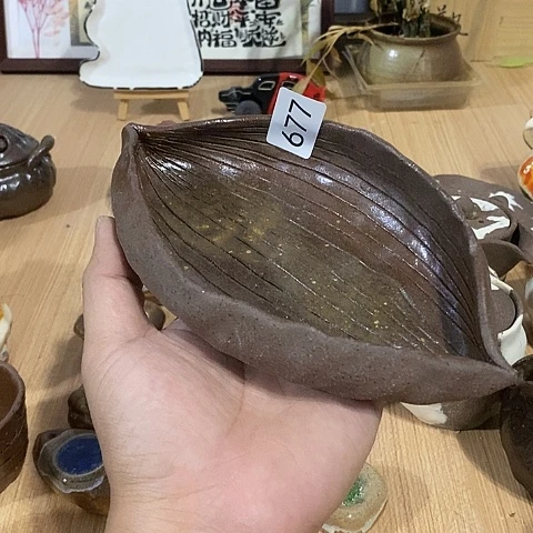 木村信弘木村信弘