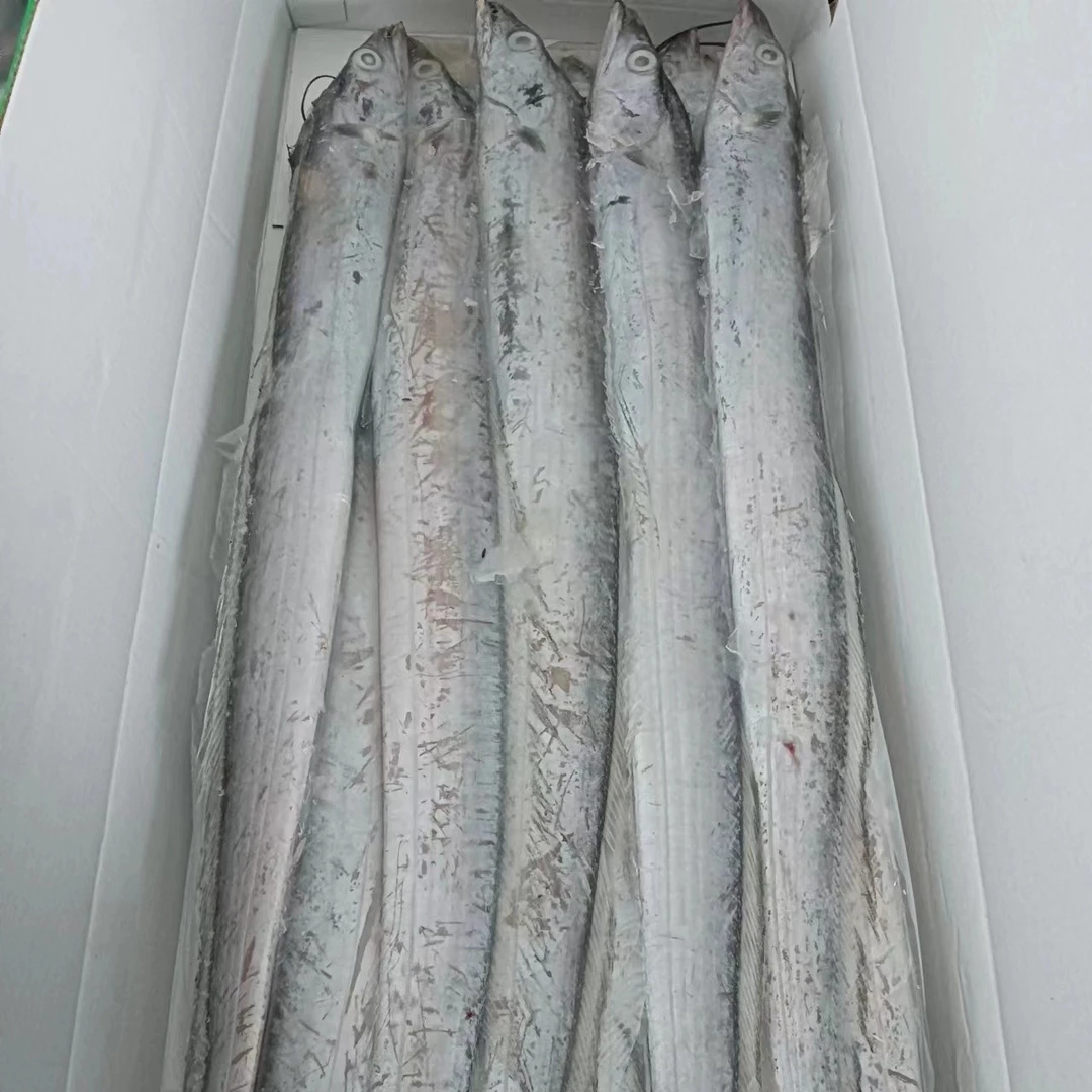 国产东海小黑眼带鱼精品