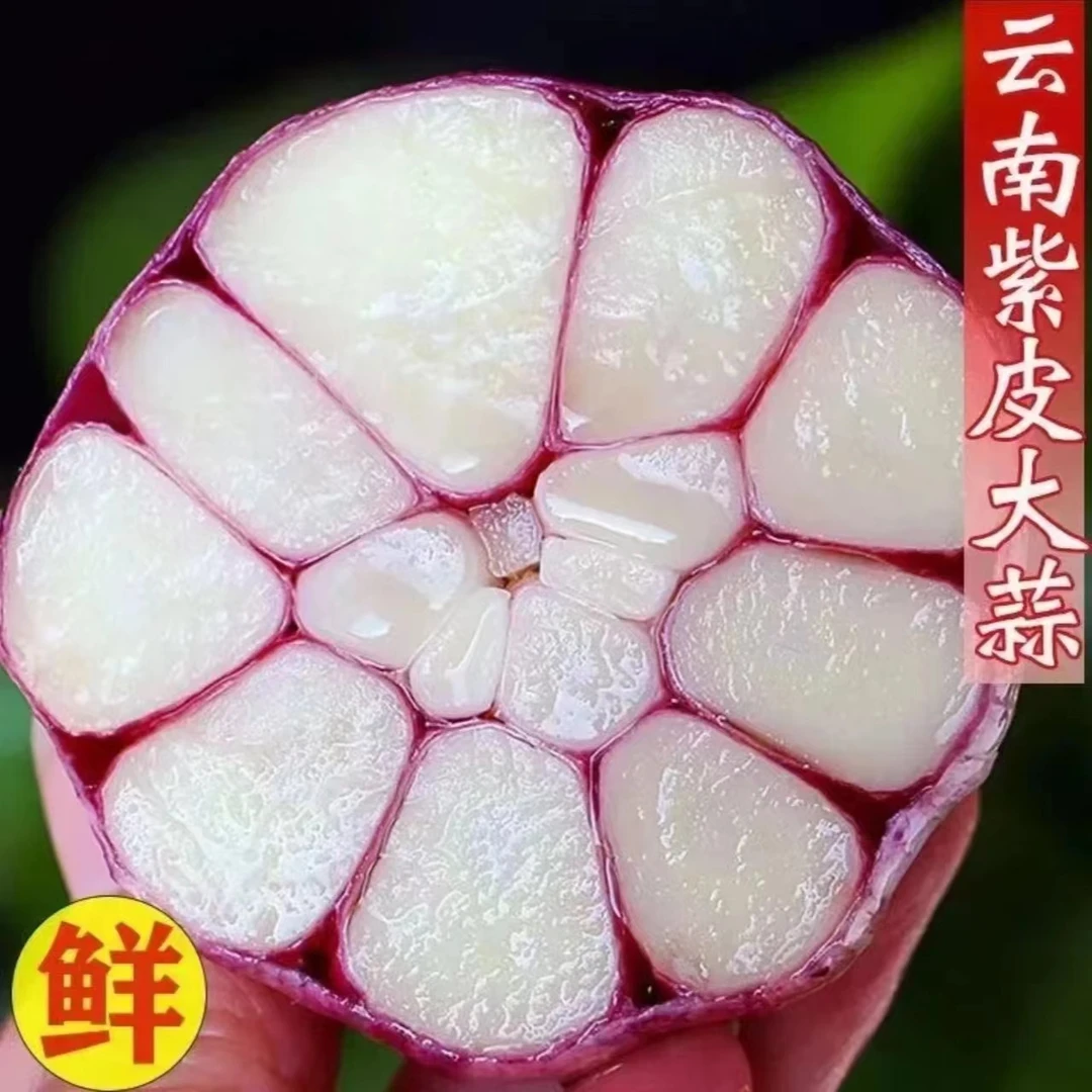 云南紫皮大蒜头多瓣湿蒜辛辣爽口农家自种新鲜现挖发货包邮