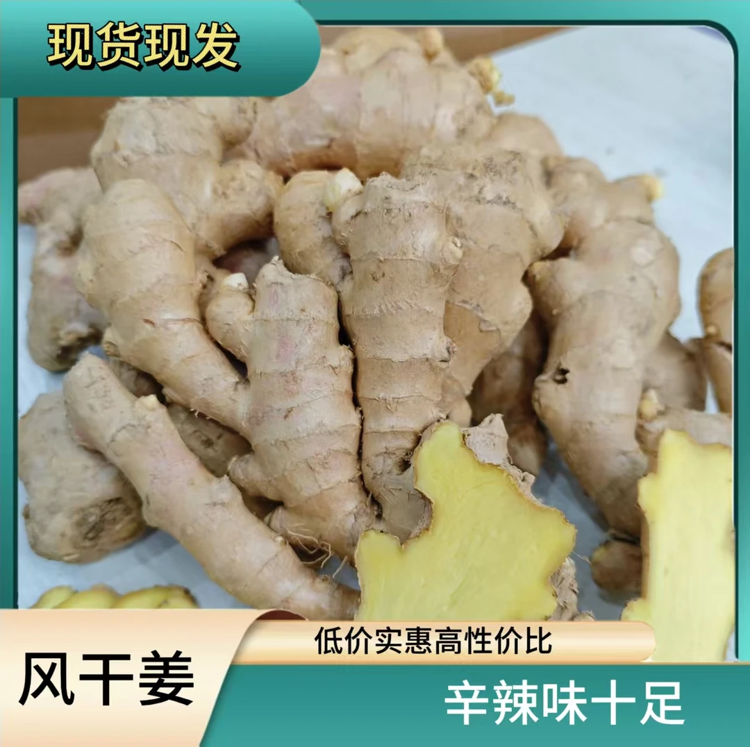 大黄姜老姜批发风干无硫无泡药原产地直发现货现发