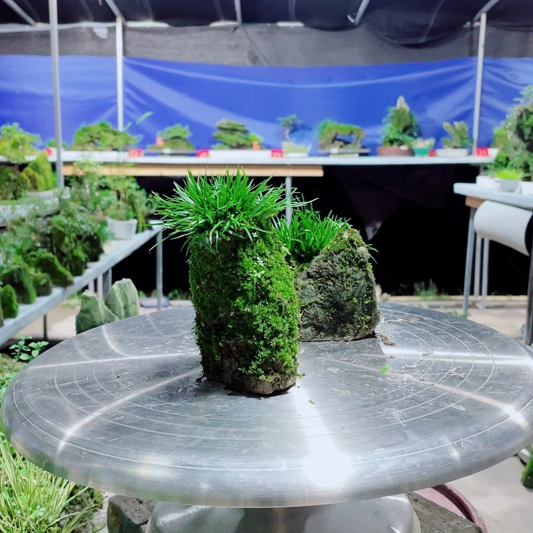 青***芦无花朵你说什么时候去找工作了
