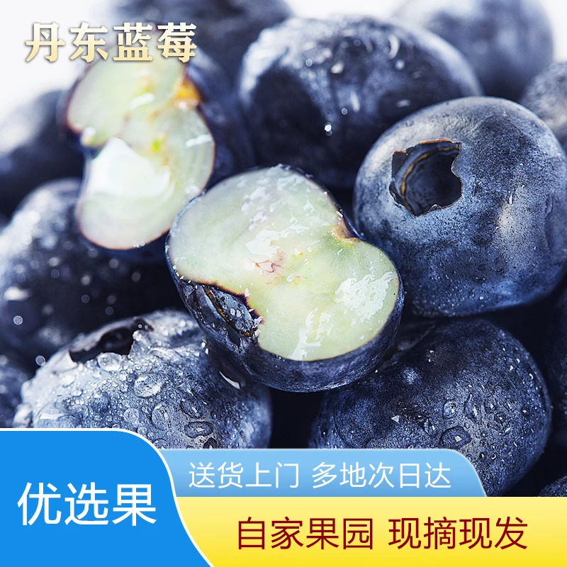 【丹东产地直发】花香蓝莓现采现摘 清甜多汁 东北纯甜蓝莓特大果