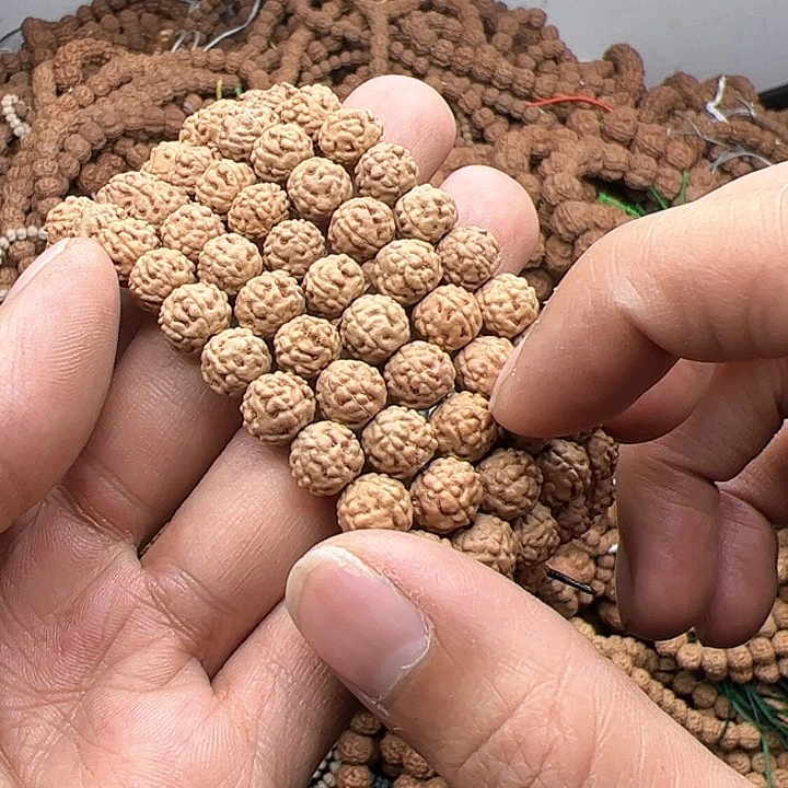 金刚菩提手串水*蛤蟆背