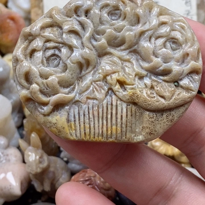 颈饰未镶嵌硅化珊瑚（珊瑚玉）