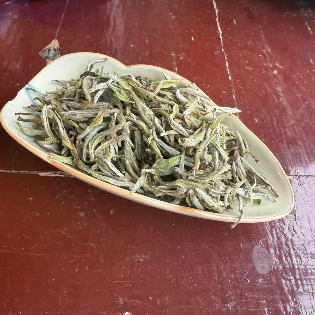 【鑫说】福鼎白茶---2024年荒野白毛茶