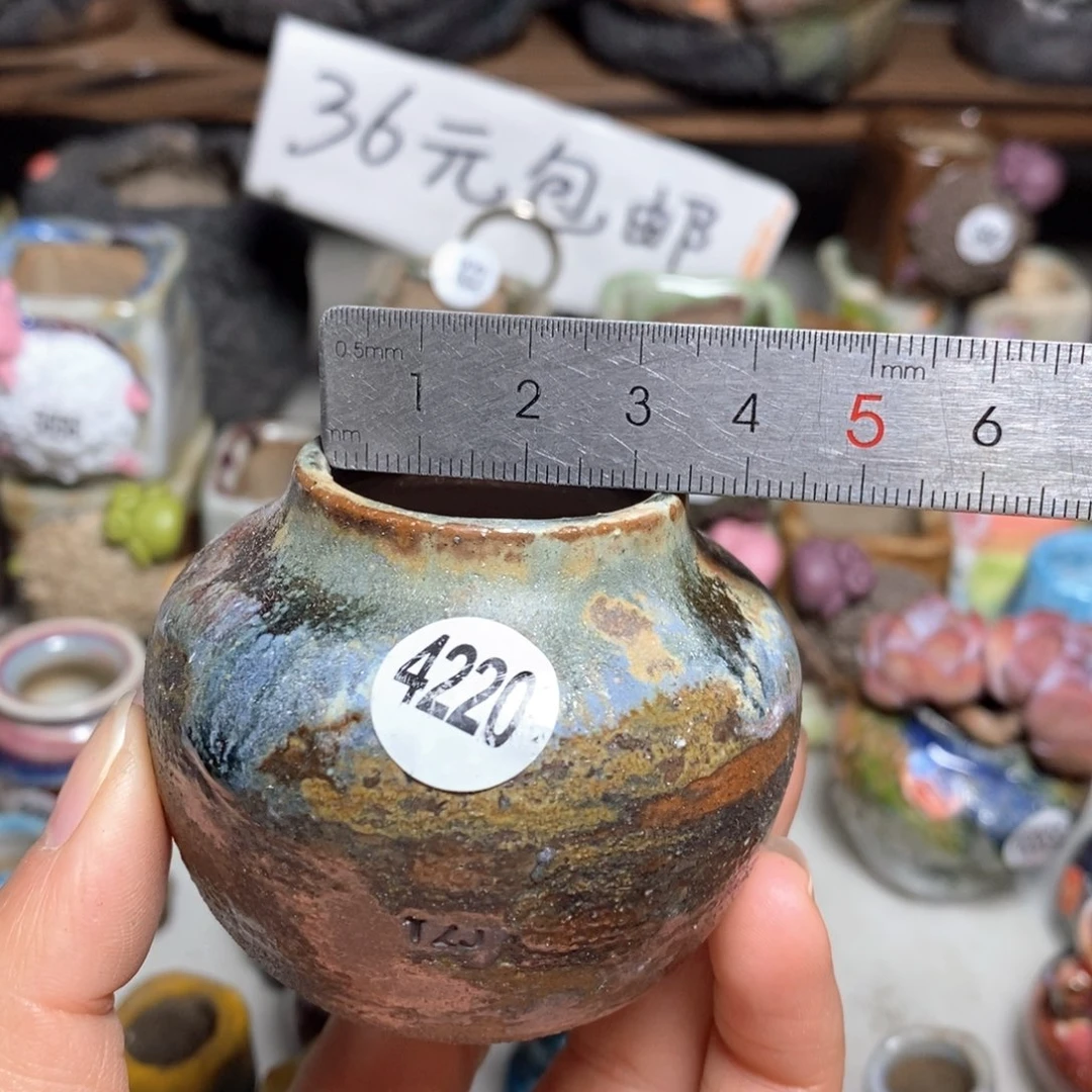 拍5送一个小礼物