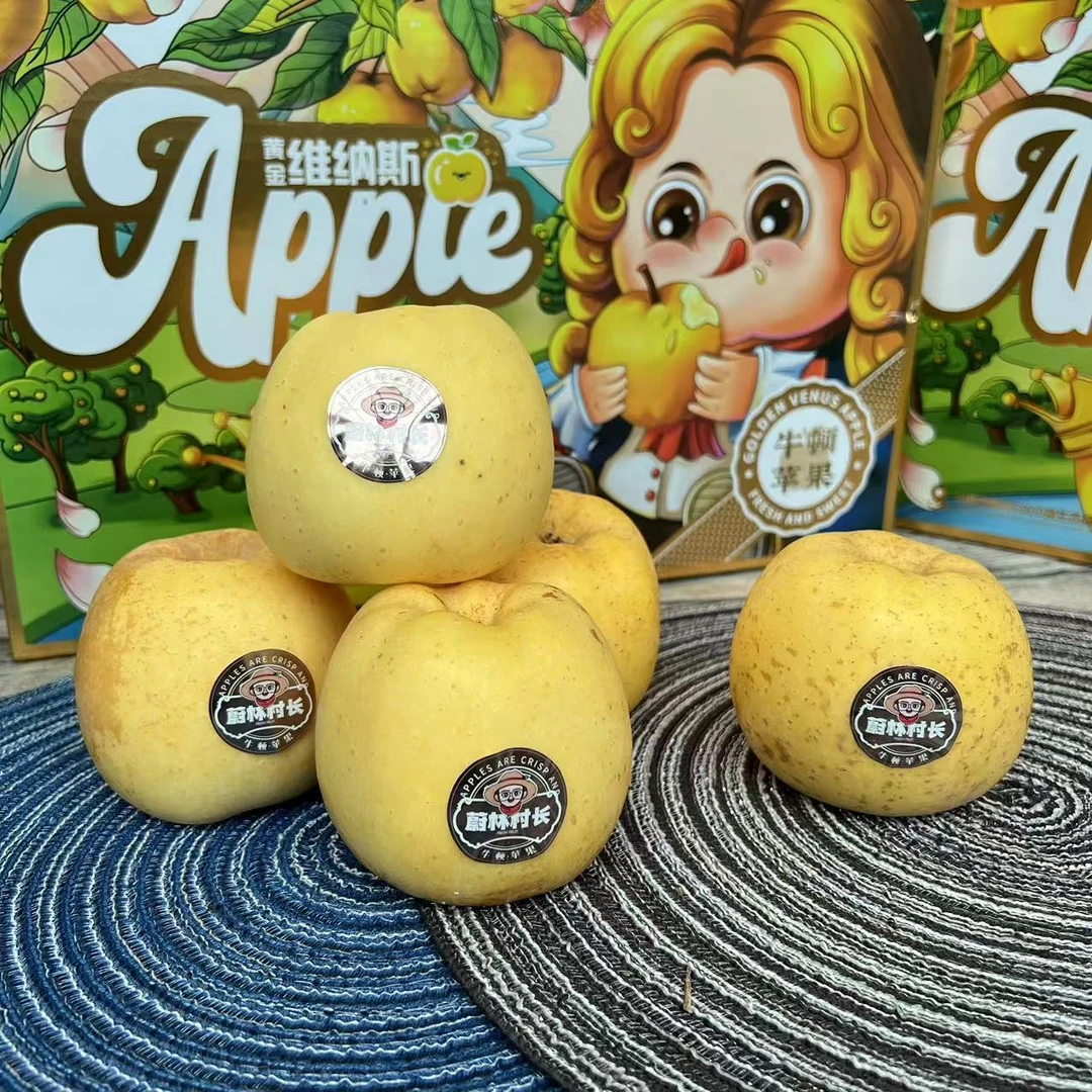 【乐鲜果园】当季黄金维纳斯苹果雀斑美人外表丑8-9颗礼盒