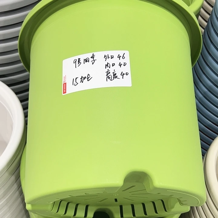 特价9号四季口46高40果绿无托2只