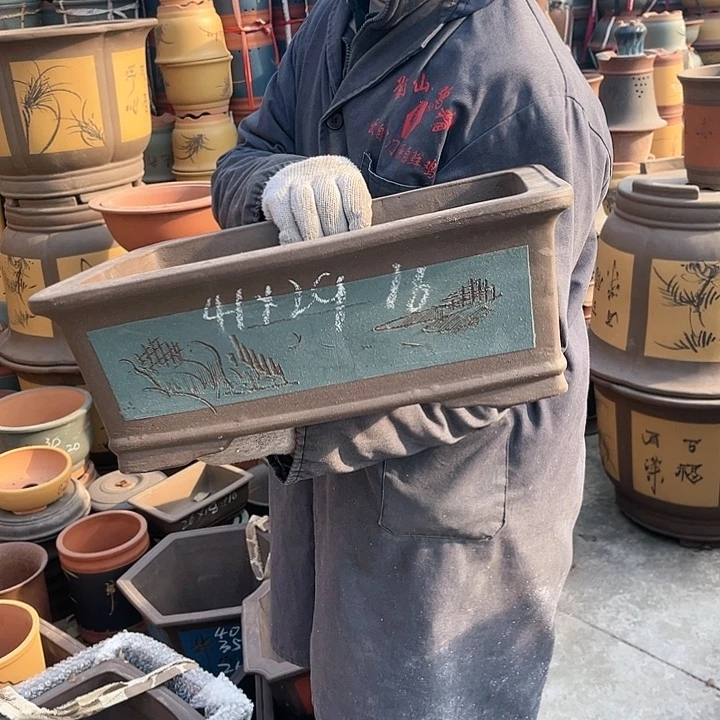 紫砂紫砂花盆和花盆里藏