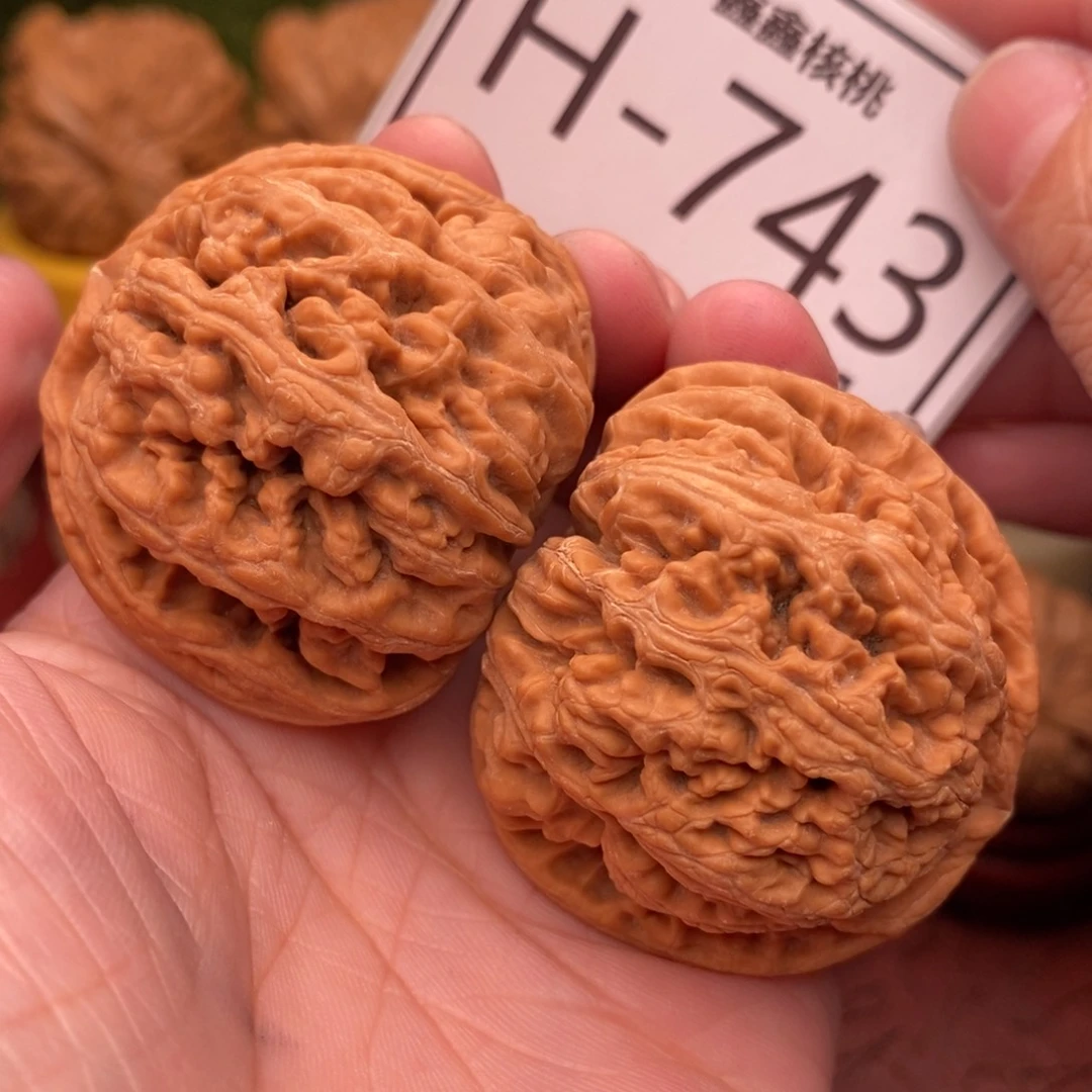 文玩核桃把件粗筋43