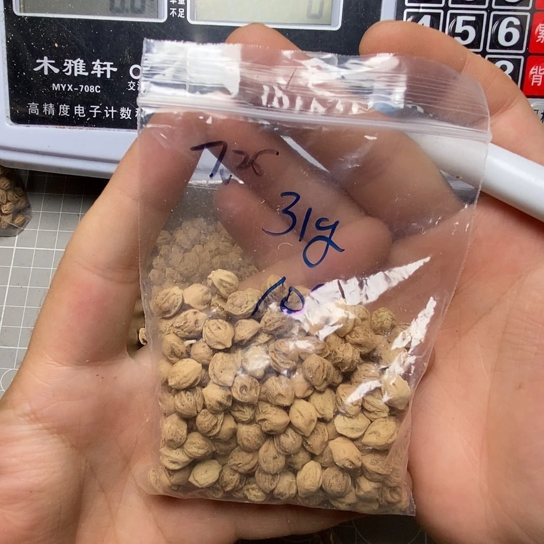 柏香籽/百香籽吊坠