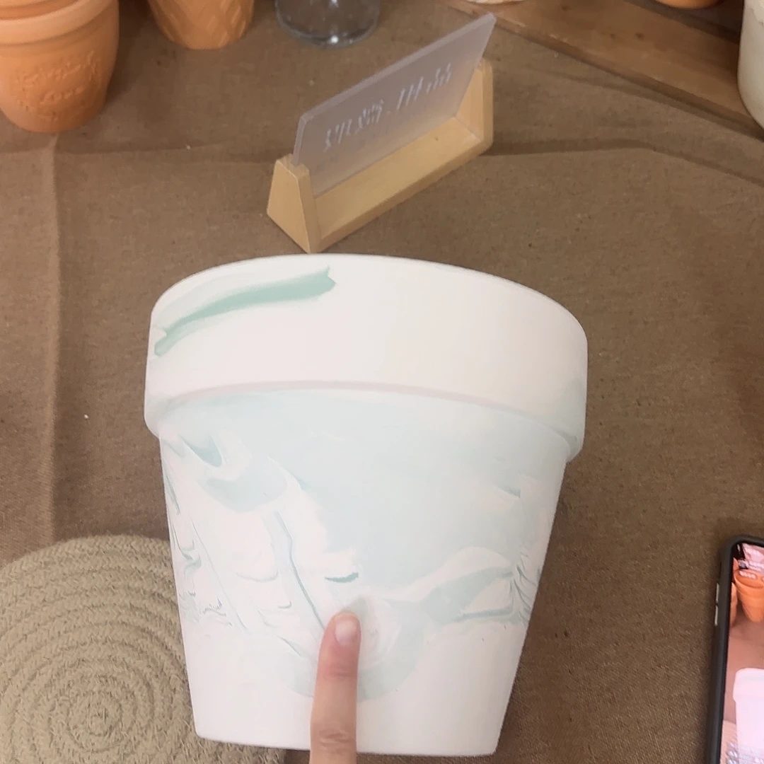 微瑕绿野仙踪 标准国际盆20口18高1个