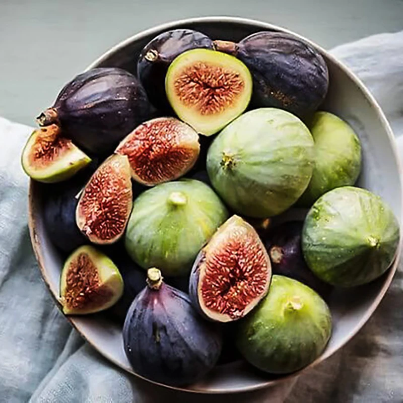 无花果树苗裸根青皮金傲芬无花果苗波姬红芭劳奈BNR浙江发货