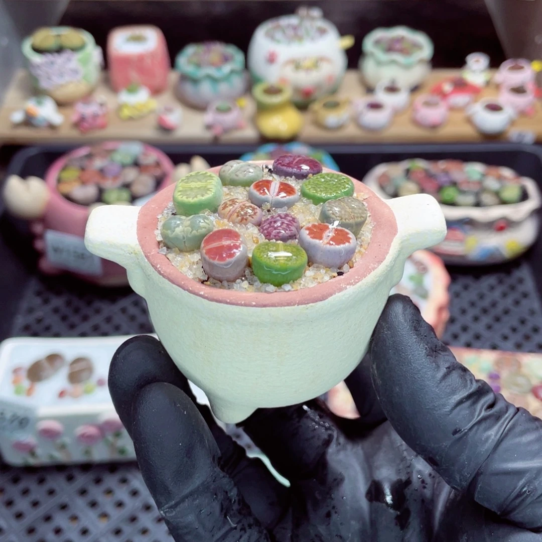 夜间零下地区拍保温箱w1571