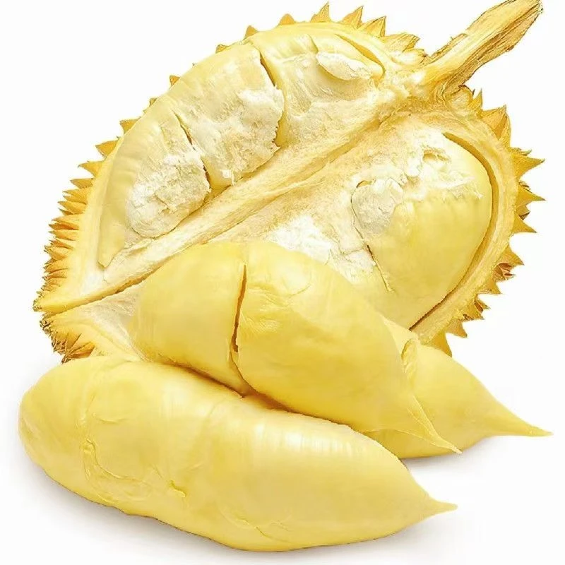 【福利款】 金枕榴莲新鲜榴莲1-5kg（02号）核小金枕泰国越南