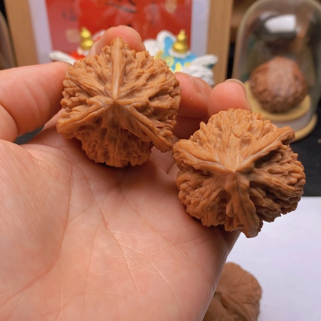 40尺转圈玉龙粗筋奔