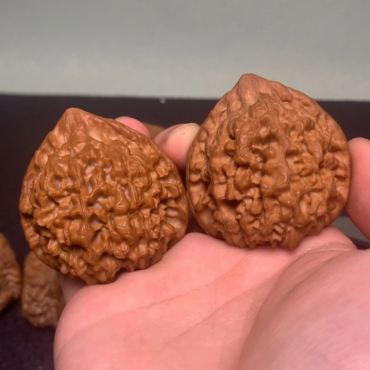 把件文玩核桃50高50肚45全品大官帽