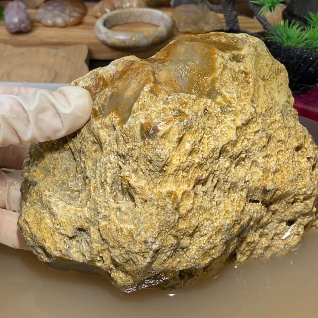 【闪购商品】硅化玉颈饰未镶嵌
