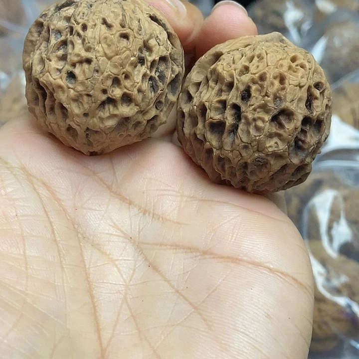 木质类云南铁核桃基地51