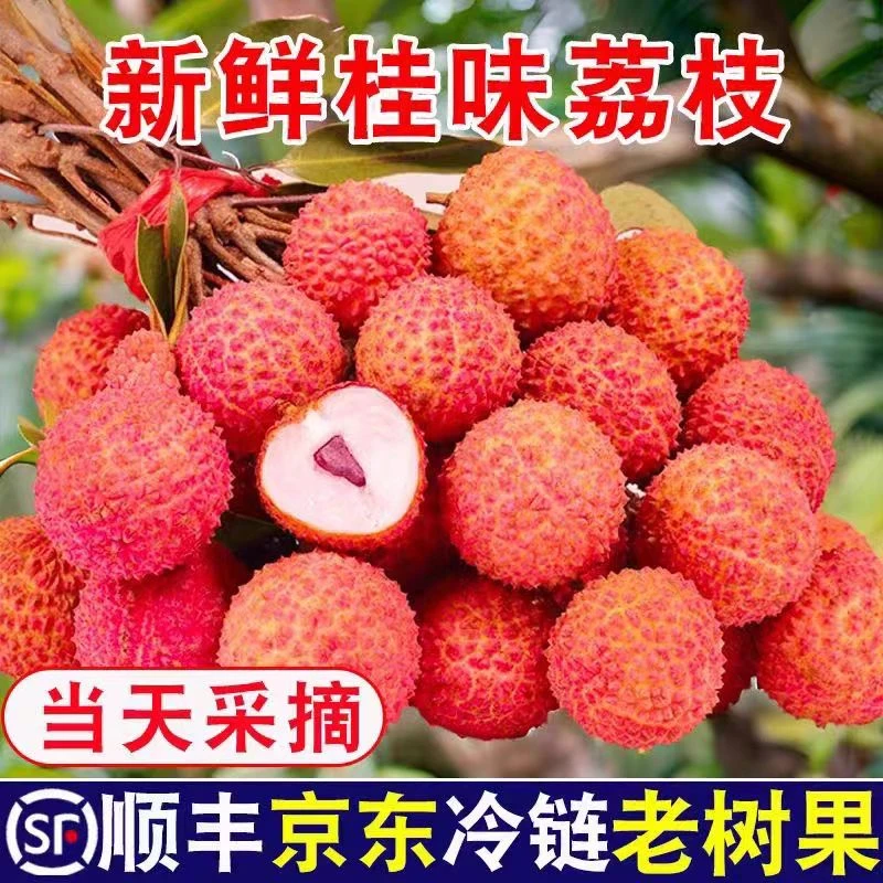 【新鲜发货】顺丰京东包邮正宗广东肇庆鸳鸯桂味荔枝10斤装