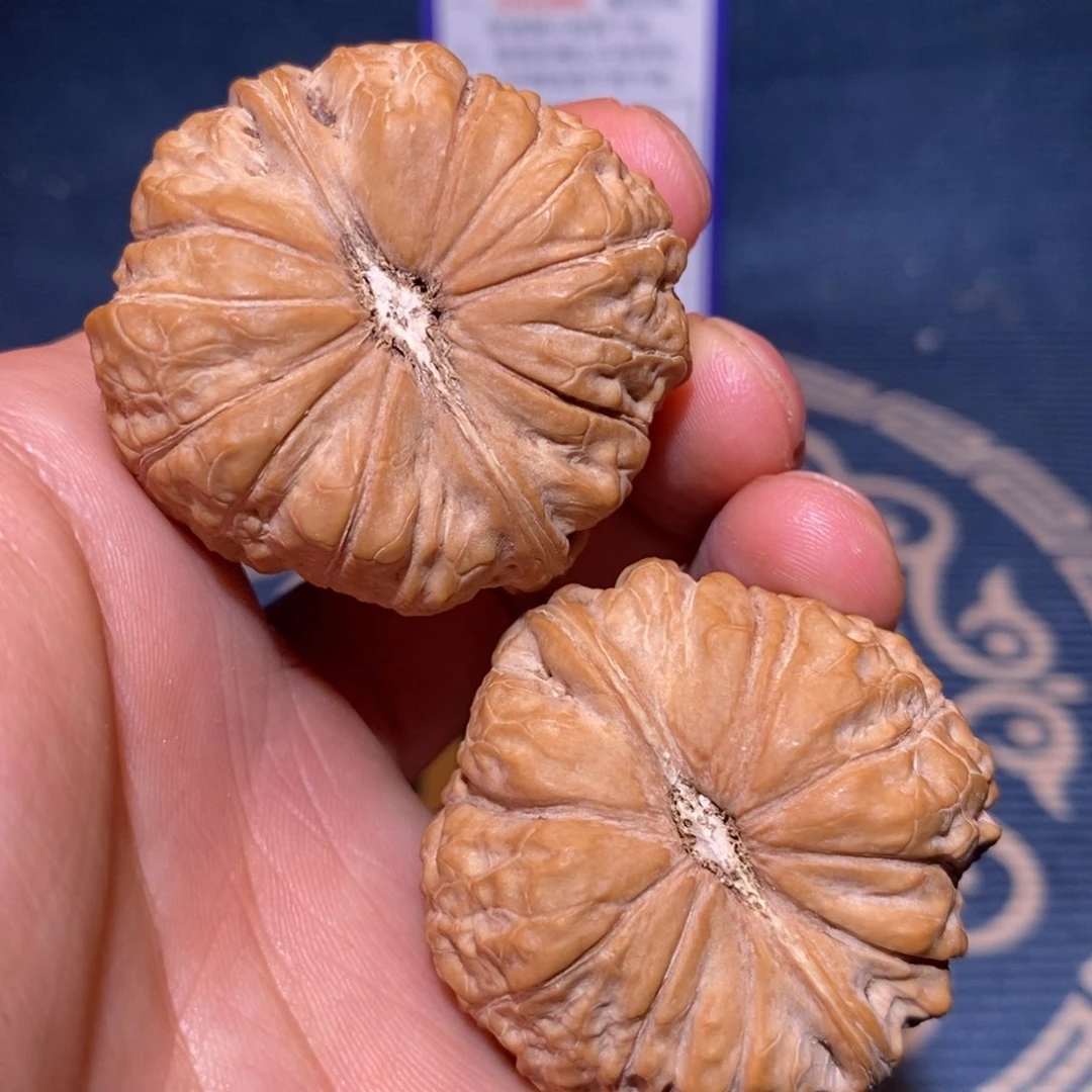 40尺全品无修白茬 南瓜
