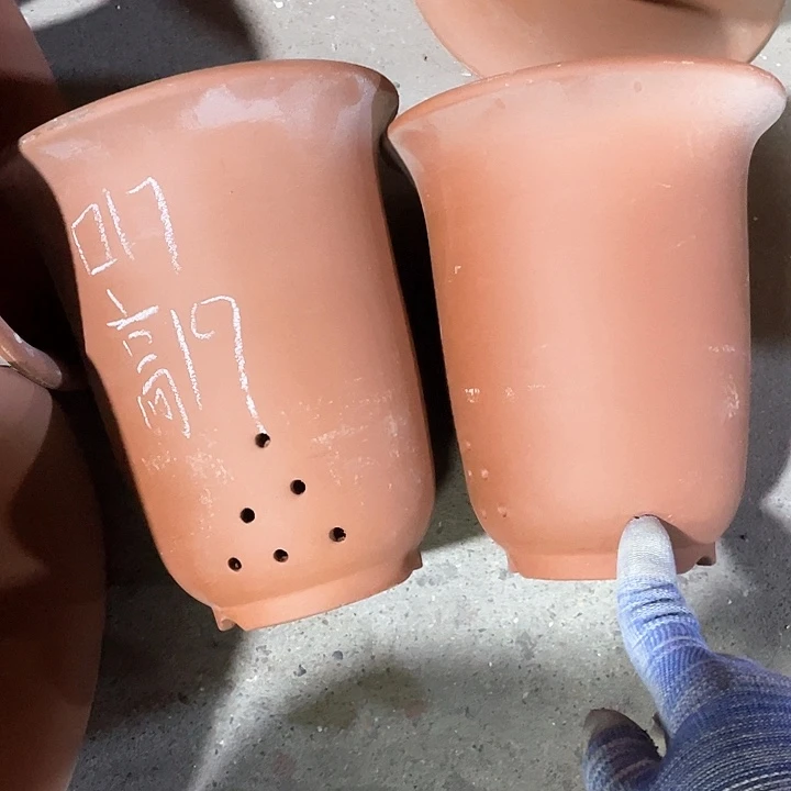 红陶紫砂紫砂紫砂