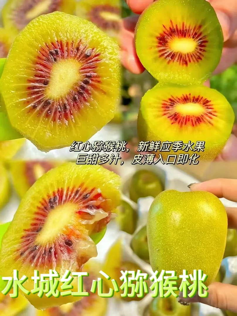 大果正宗贵州水城红心猕猴桃奇异果高山当季水果现摘现发